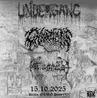 UNDERGANG / CHAOTIAN / MAGGOTS - ORWO Haus, Hardticket